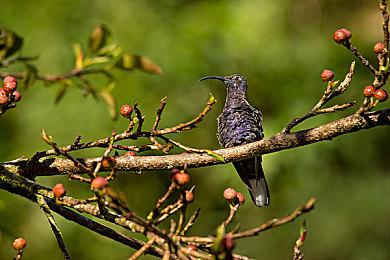 《方舟生存飞升》复活节特别活动“蛋趣冒险”限时开启，星耀DLC开放转移